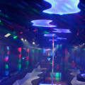 How much does it cost to rent a party bus in florida?